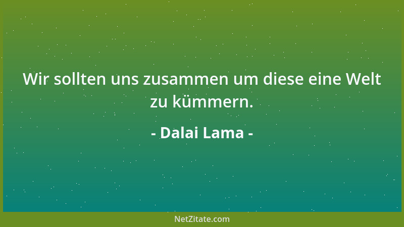 Dalai Lama - Wir sollten uns zusammen um diese eine Welt zu kümmern....