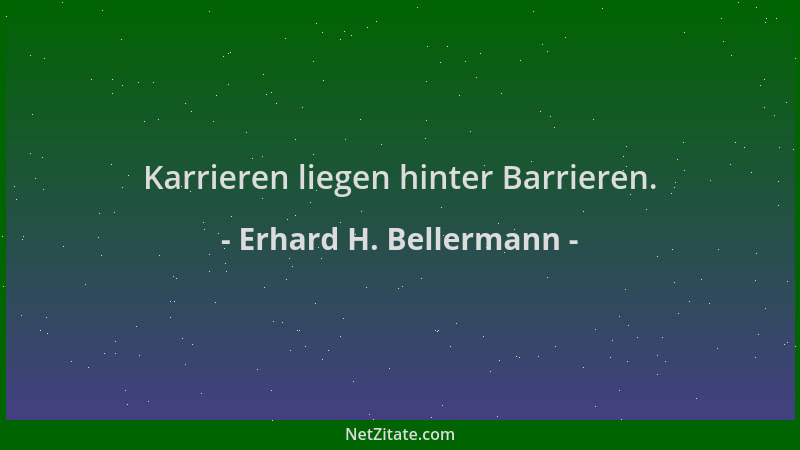 Erhard H. Bellermann - Karrieren liegen hinter Barrieren....