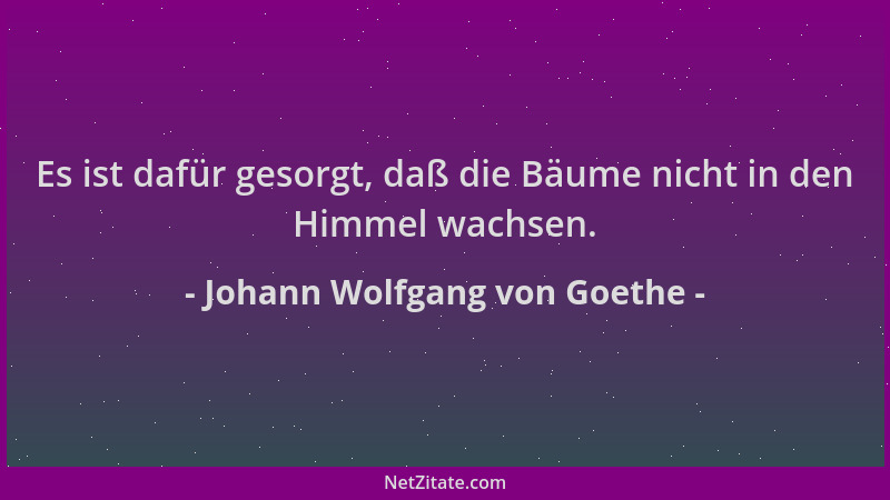 Johann Wolfgang von Goethe - Es ist dafür gesorgt, daß die Bäume nicht in den Himmel wachsen....