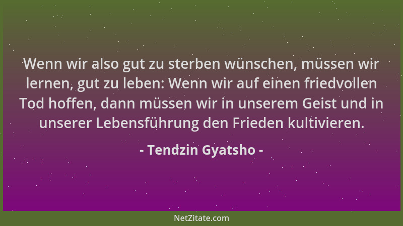 Tendzin Gyatsho - Wenn wir also gut zu sterben wünschen, müssen wir lernen, gut zu leben: Wenn wir auf einen friedvollen To...