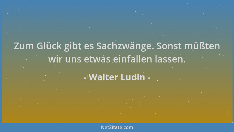 Walter Ludin - Zum Glück gibt es Sachzwänge. Sonst müßten wir uns etwas einfallen lassen....