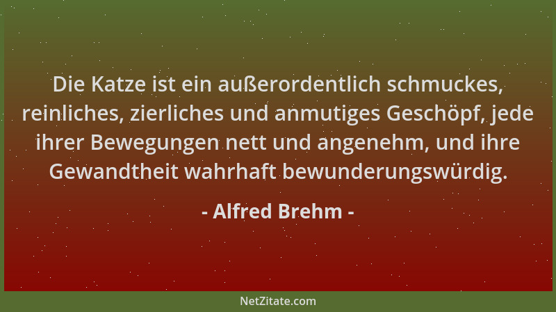 Alfred Brehm - Die Katze ist ein außerordentlich schmuckes, reinliches, zierliches und anmutiges Geschöpf, jede ihrer Beweg...