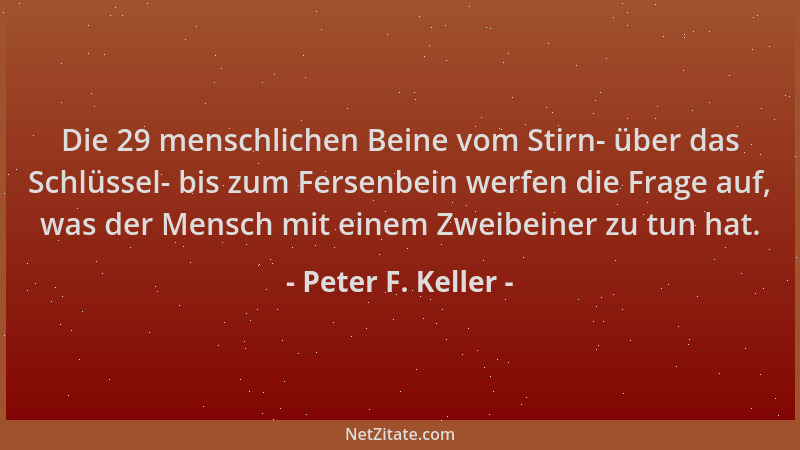Peter F. Keller - Die 29 menschlichen Beine vom Stirn- über das Schlüssel- bis zum Fersenbein werfen die Frage auf, was der...