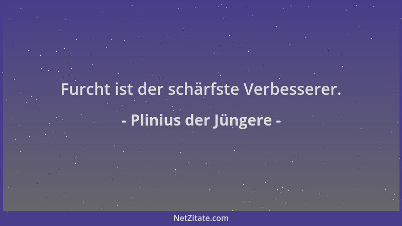 Plinius der Jüngere - Furcht ist der schärfste Verbesserer....