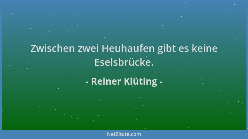 Reiner Klüting - Zwischen zwei Heuhaufen gibt es keine Eselsbrücke....