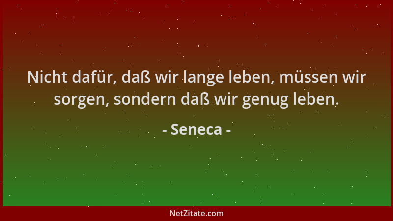 Seneca - Nicht dafür, daß wir lange leben, müssen wir sorgen, sondern daß wir genug leben....
