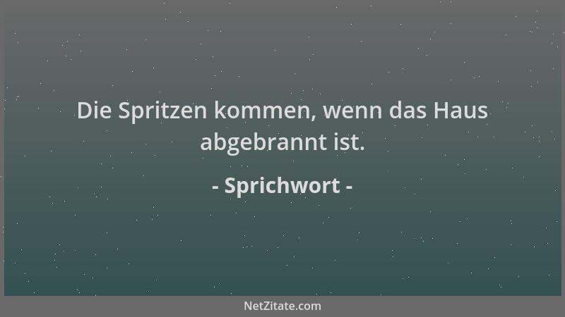 Sprichwort - Die Spritzen kommen, wenn das Haus abgebrannt ist....