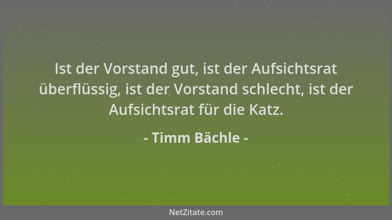 Timm Bächle - Ist der Vorstand gut, ist der Aufsichtsrat überflüssig, ist der Vorstand schlecht, ist der Aufsichtsrat für d...