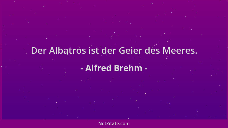Alfred Brehm - Der Albatros ist der Geier des Meeres....