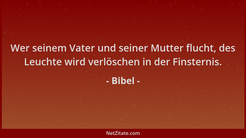 Bibel - Wer seinem Vater und seiner Mutter flucht, des Leuchte wird verlöschen in der Finsternis....