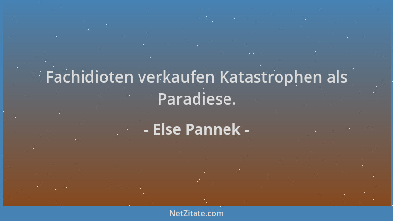 Else Pannek - Fachidioten verkaufen Katastrophen als Paradiese....