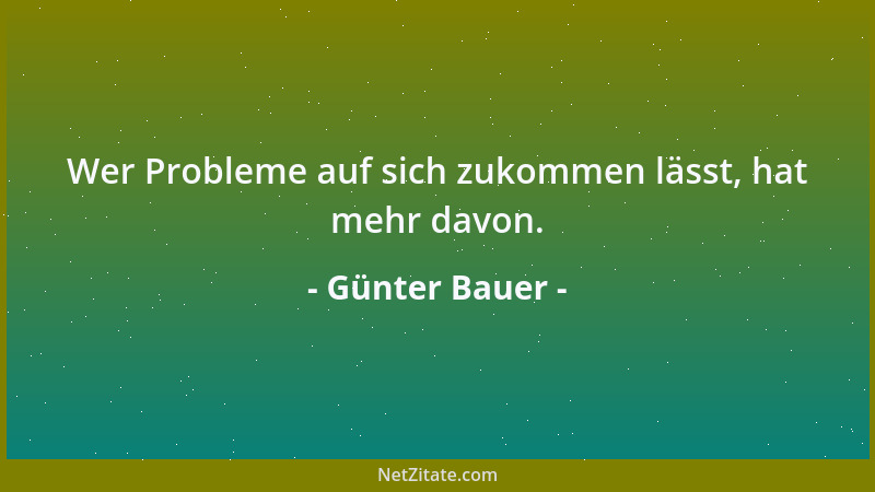 Günter Bauer - Wer Probleme auf sich zukommen lässt, hat mehr davon....