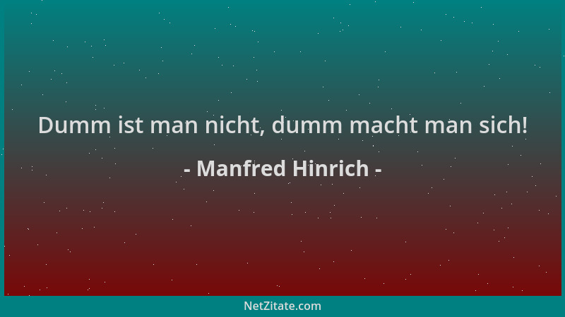 Manfred Hinrich - Dumm ist man nicht, dumm macht man sich!...
