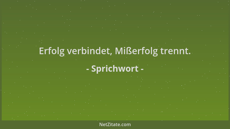 Sprichwort - Erfolg verbindet, Mißerfolg trennt....