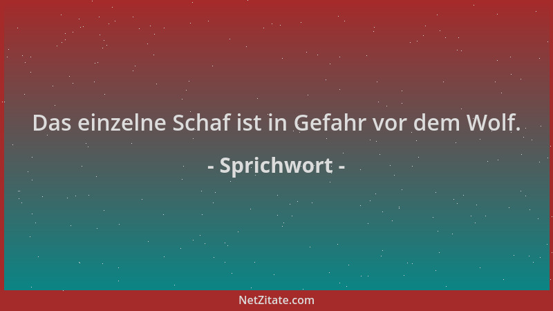 Sprichwort - Das einzelne Schaf ist in Gefahr vor dem Wolf....
