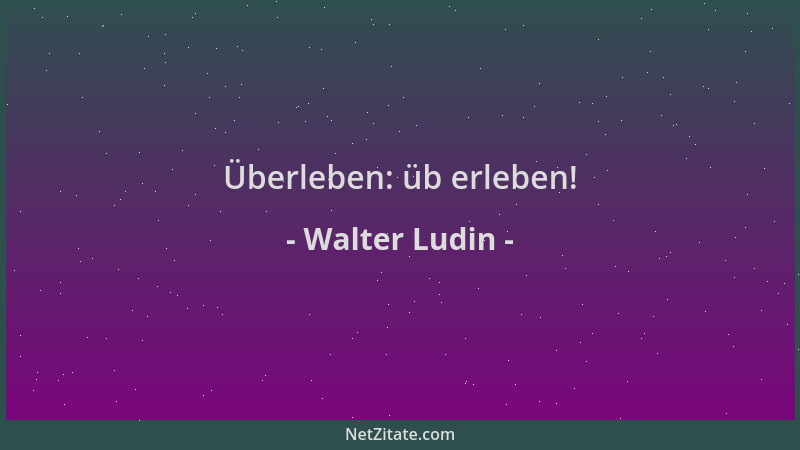 Walter Ludin - Überleben: üb erleben!...