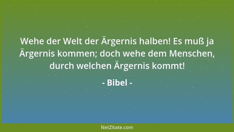 Bibel - Ein guter Ruf ist köstlicher als großer Reichtum und anziehendes Wesen besser als Silber und Gold....