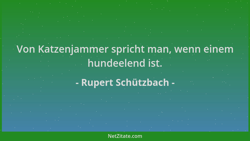 Rupert Schützbach - Von Katzenjammer spricht man, wenn einem hundeelend ist....