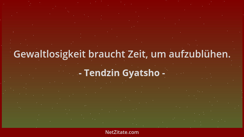 Tendzin Gyatsho - Gewaltlosigkeit braucht Zeit, um aufzublühen....