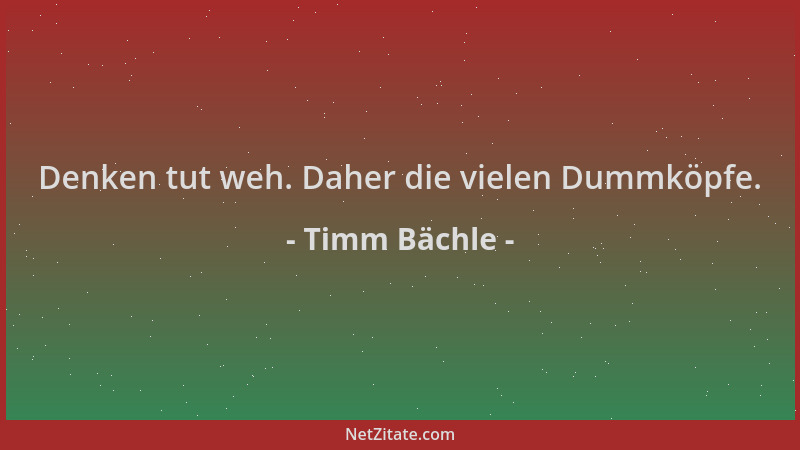 Timm Bächle - Denken tut weh. Daher die vielen Dummköpfe....