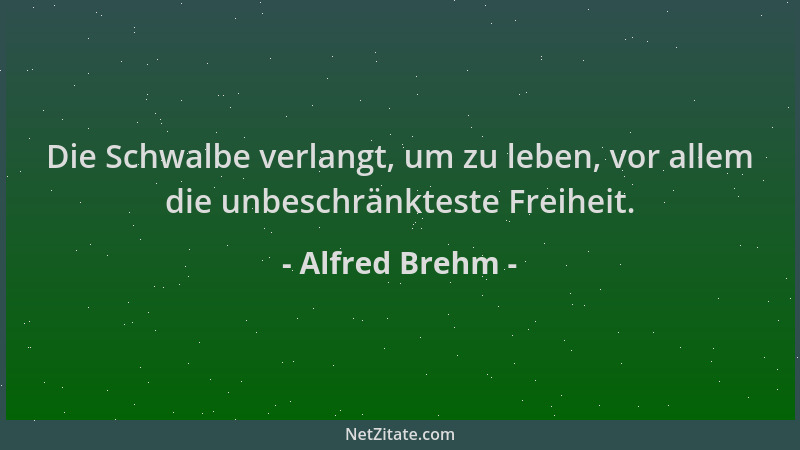 Alfred Brehm - Die Schwalbe verlangt, um zu leben, vor allem die unbeschränkteste Freiheit....