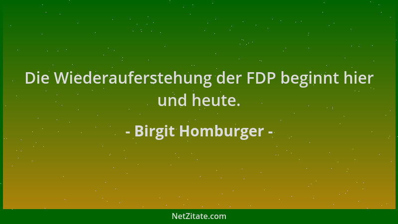 Birgit Homburger - Die Wiederauferstehung der FDP beginnt hier und heute....