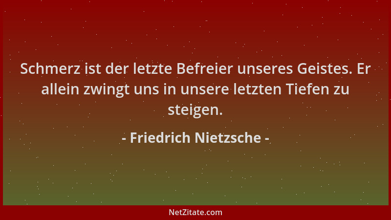 Friedrich Nietzsche - Schmerz ist der letzte Befreier unseres Geistes. Er allein zwingt uns in unsere letzten Tiefen zu ste...
