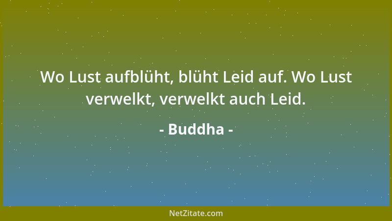 Buddha - Wo Lust aufblüht, blüht Leid auf. Wo Lust verwelkt, verwelkt auch Leid....