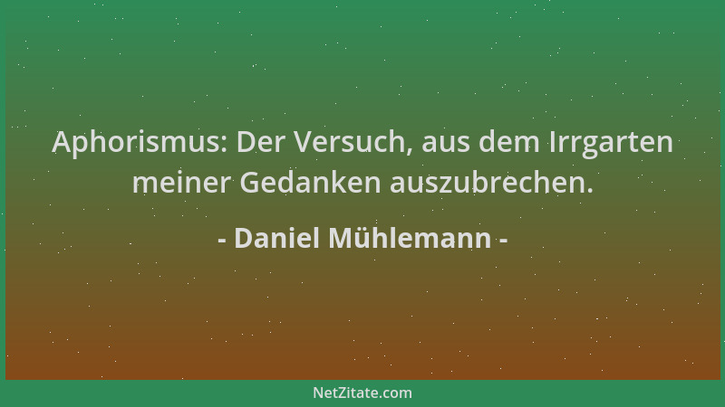 Daniel Mühlemann - Aphorismus: Der Versuch, aus dem Irrgarten meiner Gedanken auszubrechen....