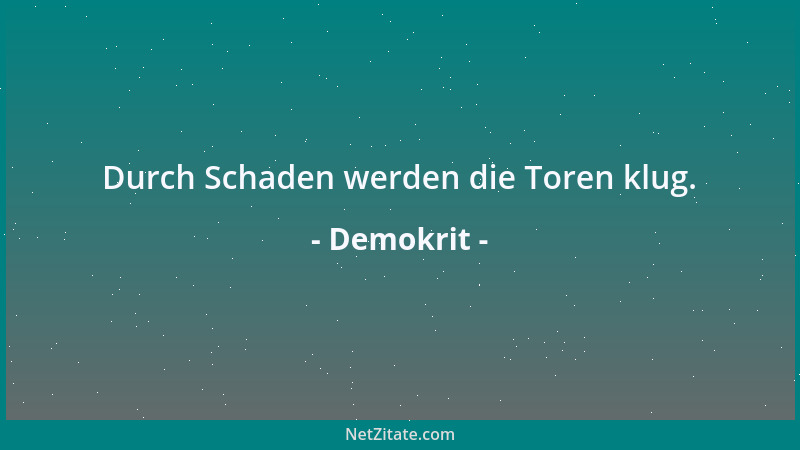 Demokrit - Durch Schaden werden die Toren klug....