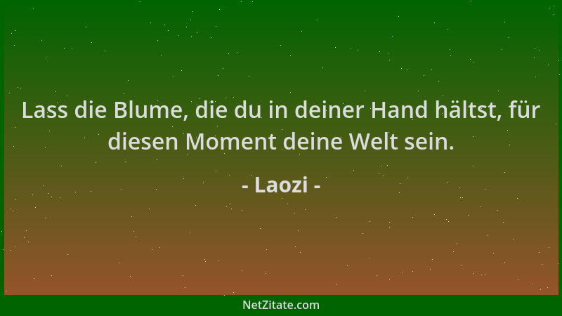 Laozi - Lass die Blume, die du in deiner Hand hältst, für diesen Moment deine Welt sein....