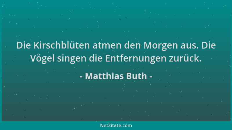 Matthias Buth - Die Kirschblüten atmen den Morgen aus. Die Vögel singen die Entfernungen zurück....