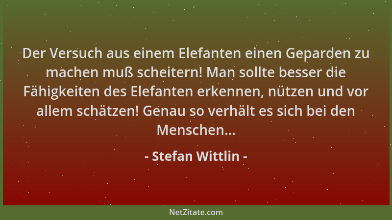 Stefan Wittlin - Der Versuch aus einem Elefanten einen Geparden zu machen muß scheitern! Man sollte besser die Fähigkeiten...