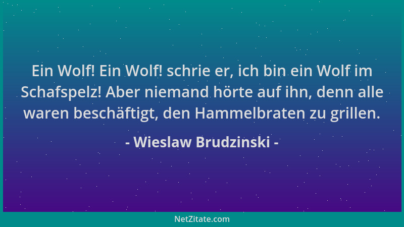 Wieslaw Brudzinski - Ein Wolf! Ein Wolf! schrie er, ich bin ein Wolf im Schafspelz! Aber niemand hörte auf ihn, denn alle w...
