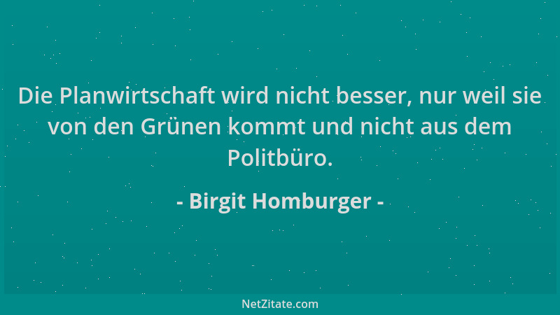 Birgit Homburger - Die Planwirtschaft wird nicht besser, nur weil sie von den Grünen kommt und nicht aus dem Politbüro....