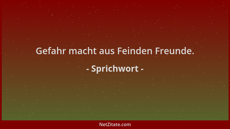Sprichwort - Gefahr macht aus Feinden Freunde....