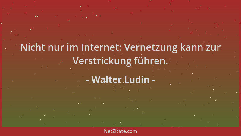 Walter Ludin - Nicht nur im Internet: Vernetzung kann zur Verstrickung führen....