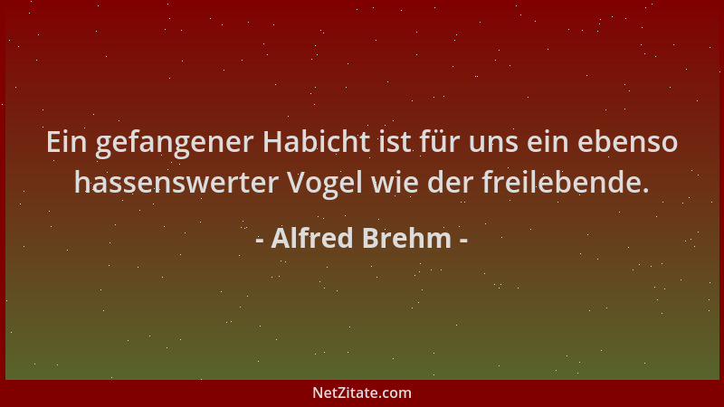 Alfred Brehm - Ein gefangener Habicht ist für uns ein ebenso hassenswerter Vogel wie der freilebende....
