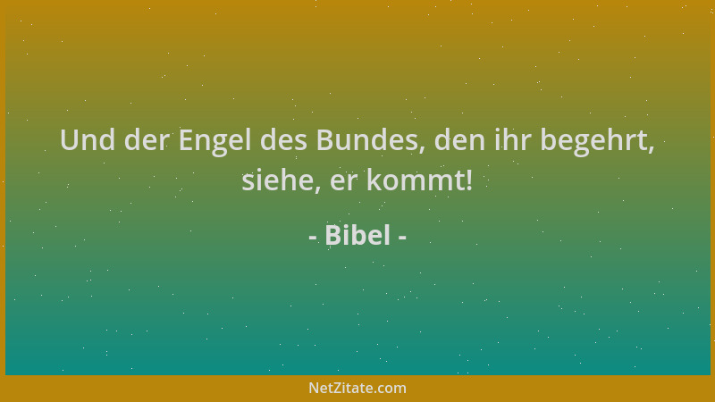 Bibel - Und der Engel des Bundes, den ihr begehrt, siehe, er kommt!...
