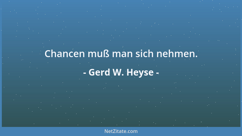 Gerd W. Heyse - Chancen muß man sich nehmen....