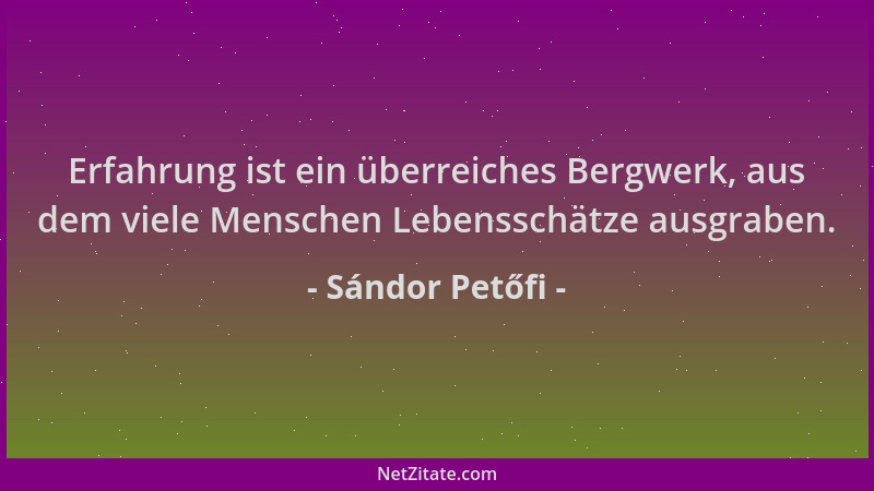 Sándor Petőfi - Erfahrung ist ein überreiches Bergwerk, aus dem viele Menschen Lebensschätze ausgraben....