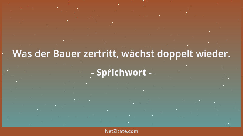 Sprichwort - Ein Kind, Angstkind: zwei Kinder, Spielkinder....