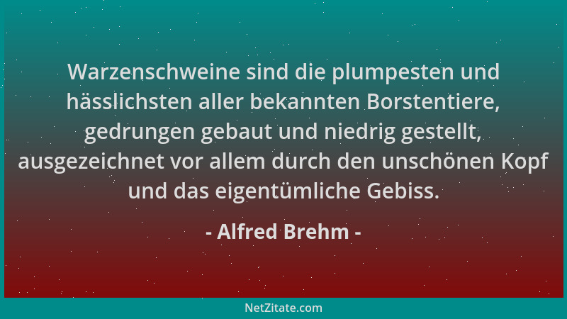 Alfred Brehm - Warzenschweine sind die plumpesten und hässlichsten aller bekannten Borstentiere, gedrungen gebaut und niedr...