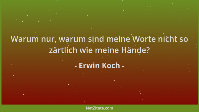 Erwin Koch - Warum nur, warum sind meine Worte nicht so zärtlich wie meine Hände?...