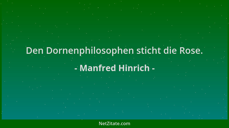 Manfred Hinrich - Den Dornenphilosophen sticht die Rose....