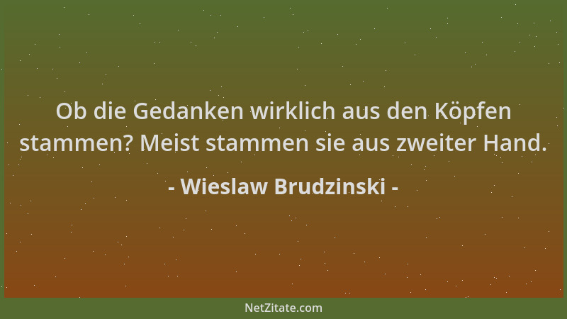 Wieslaw Brudzinski - Ob die Gedanken wirklich aus den Köpfen stammen? Meist stammen sie aus zweiter Hand....