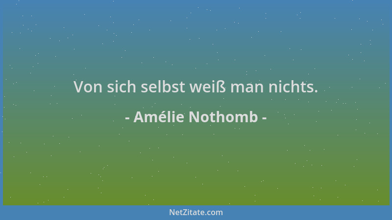 Amélie Nothomb - Von sich selbst weiß man nichts....