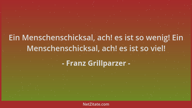 Franz Grillparzer - Ein Menschenschicksal, ach! es ist so wenig! Ein Menschenschicksal, ach! es ist so viel!...