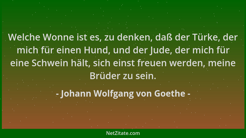Johann Wolfgang von Goethe - Welche Wonne ist es, zu denken, daß der Türke, der mich für einen Hund, und der Jude, der mich...
