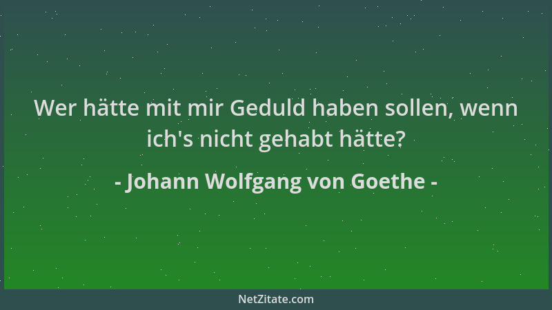 Johann Wolfgang von Goethe - Wer hätte mit mir Geduld haben sollen, wenn ich 's nicht gehabt hätte?...